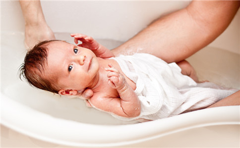 胚胎培养